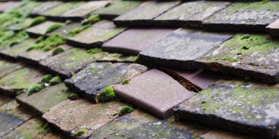 Slad roof repair costs